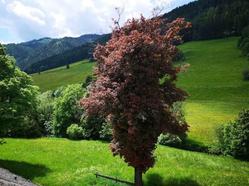 Haus Elsasser Sankt Johann am Tauern Екстериор снимка